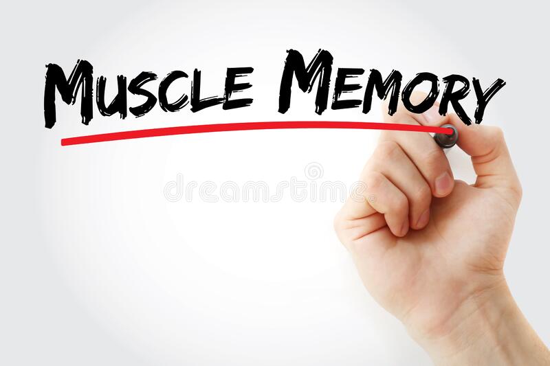 The Muscle Memory Myth. - Primal MKE - MMA Fitness BJJ Grappling kickboxing best milwaukee west allis