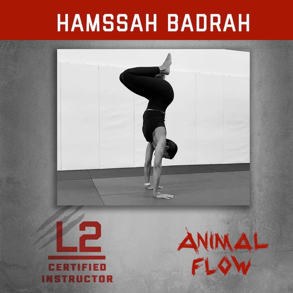 Animal Flow at Primal. 4 week Intro course! FEB 22-MAR 15 Wednesdays 12-1 pm - Primal MKE